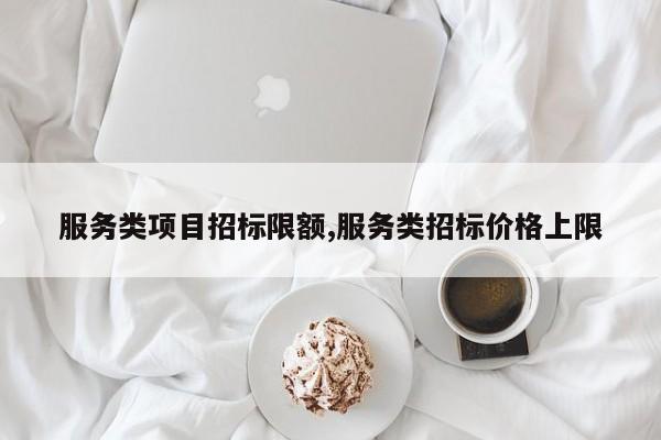 服务类项目招标限额,服务类招标价格上限