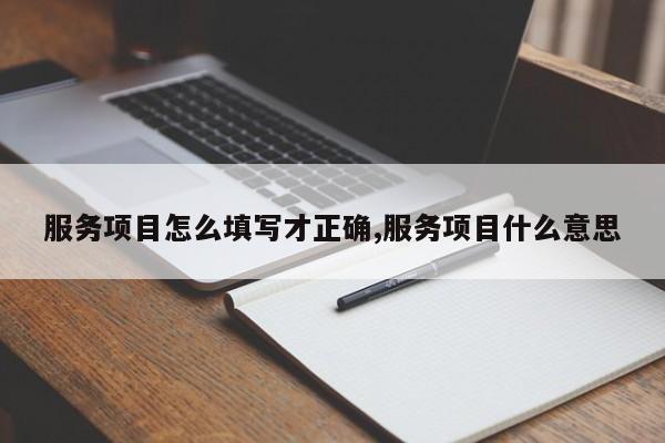 服务项目怎么填写才正确,服务项目什么意思