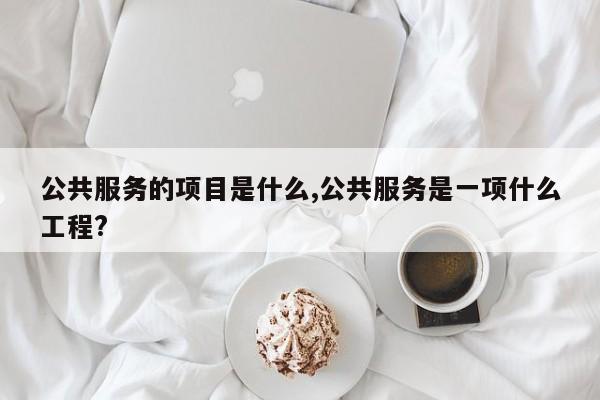 公共服务的项目是什么,公共服务是一项什么工程?