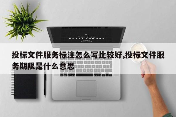 投标文件服务标注怎么写比较好,投标文件服务期限是什么意思