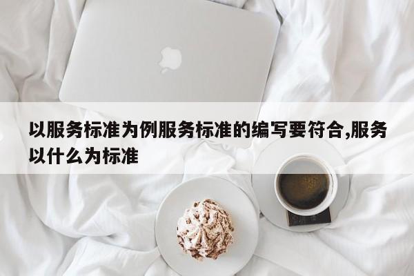 以服务标准为例服务标准的编写要符合,服务以什么为标准