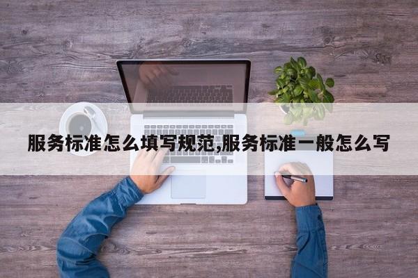 服务标准怎么填写规范,服务标准一般怎么写