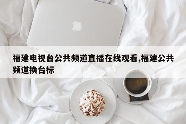 福建电视台公共频道直播在线观看,福建公共频道换台标