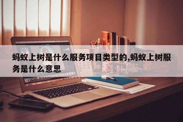 蚂蚁上树是什么服务项目类型的,蚂蚁上树服务是什么意思