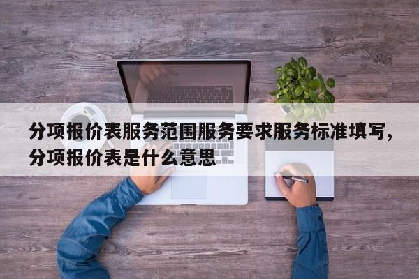 分项报价表服务范围服务要求服务标准填写,分项报价表是什么意思