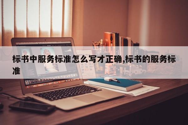 标书中服务标准怎么写才正确,标书的服务标准