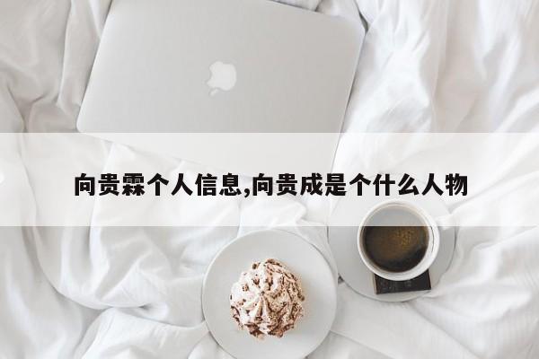 向贵霖个人信息,向贵成是个什么人物
