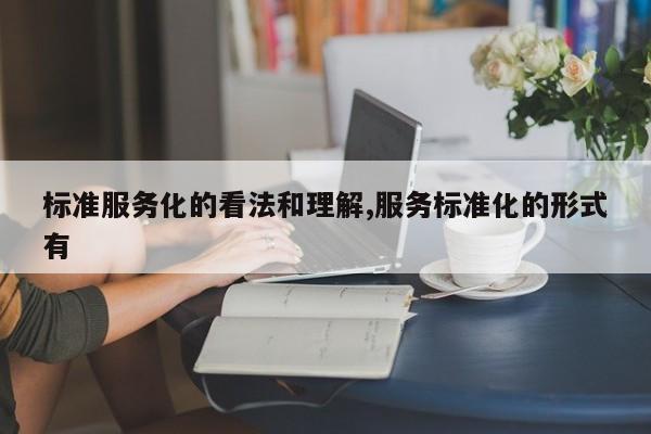 标准服务化的看法和理解,服务标准化的形式有