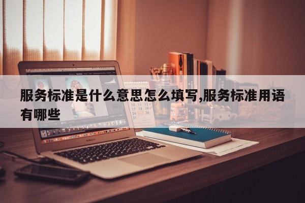 服务标准是什么意思怎么填写,服务标准用语有哪些