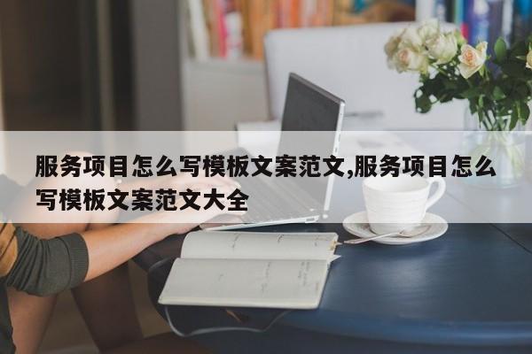 服务项目怎么写模板文案范文,服务项目怎么写模板文案范文大全