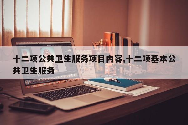 十二项公共卫生服务项目内容,十二项基本公共卫生服务