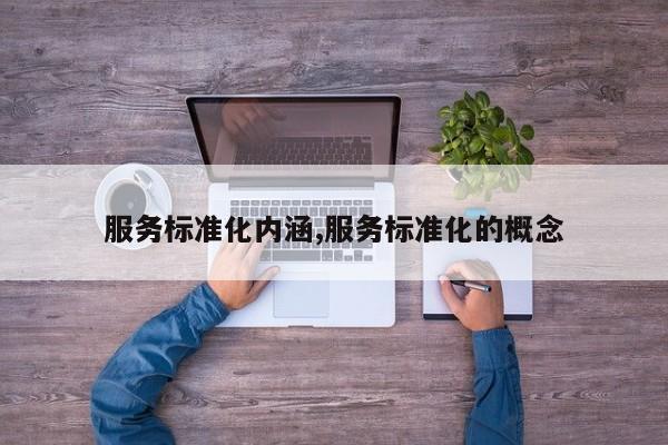 服务标准化内涵,服务标准化的概念