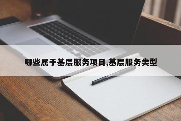 哪些属于基层服务项目,基层服务类型
