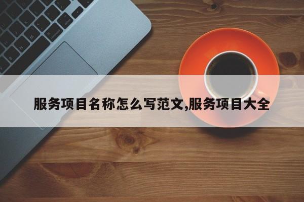 服务项目名称怎么写范文,服务项目大全