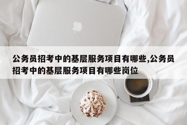 公务员招考中的基层服务项目有哪些,公务员招考中的基层服务项目有哪些岗位