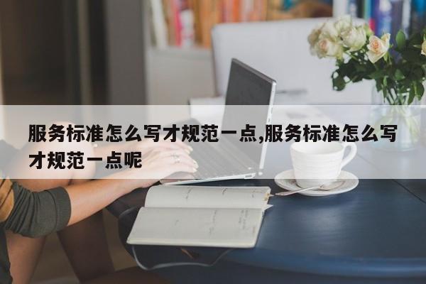 服务标准怎么写才规范一点,服务标准怎么写才规范一点呢
