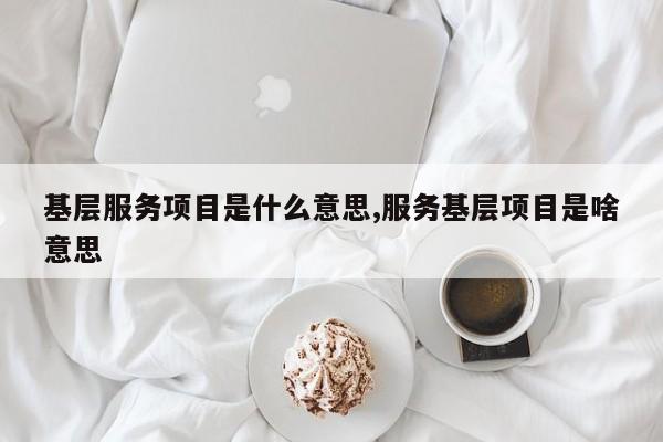 基层服务项目是什么意思,服务基层项目是啥意思