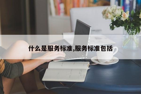 什么是服务标准,服务标准包括