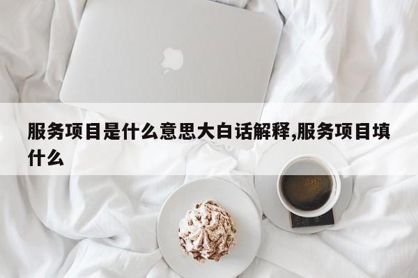 服务项目是什么意思大白话解释,服务项目填什么