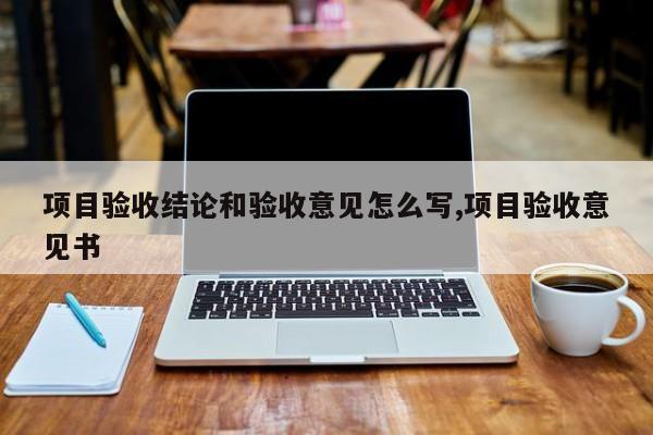 项目验收结论和验收意见怎么写,项目验收意见书