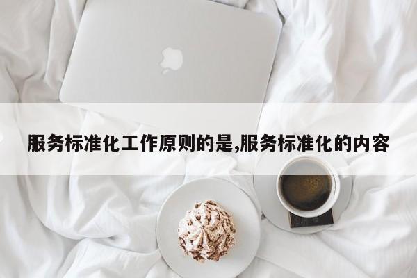 服务标准化工作原则的是,服务标准化的内容