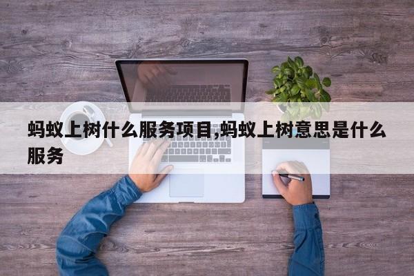 蚂蚁上树什么服务项目,蚂蚁上树意思是什么服务