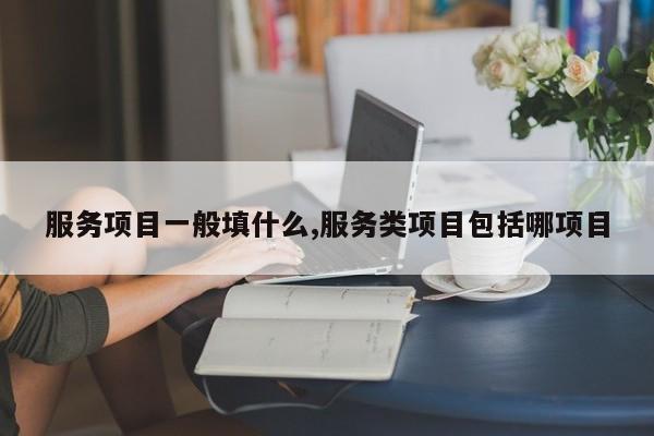 服务项目一般填什么,服务类项目包括哪项目