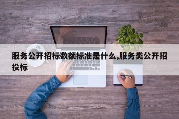 服务公开招标数额标准是什么,服务类公开招投标