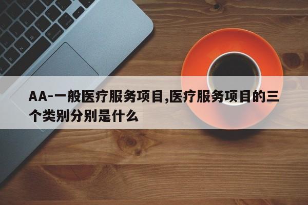 AA-一般医疗服务项目,医疗服务项目的三个类别分别是什么