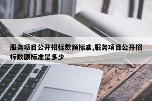 服务项目公开招标数额标准,服务项目公开招标数额标准是多少